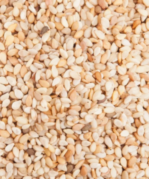 Sesame Seed